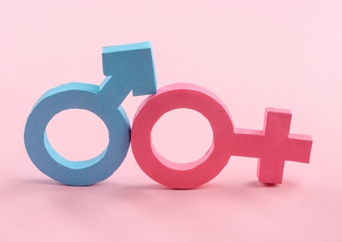 Vereadores aprovam criação do ‘Dia do Orgulho Hétero’