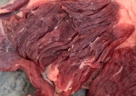 Família tem 'vômito coletivo' ao descobrir que comeu churrasco infestado de larvas 