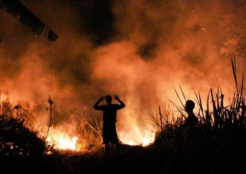 Amazonas recebe R$ 11,5 milhões de banco alemão para combate às queimadas