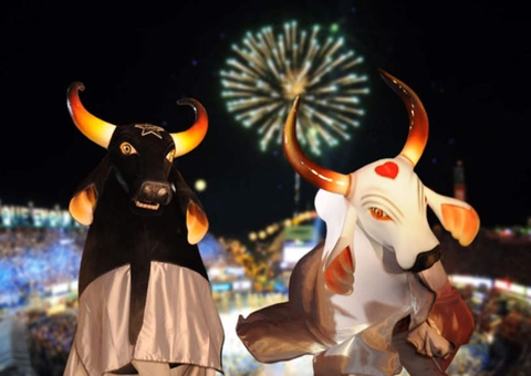 Festival dos bois de Parintins 2022 é confirmado no Amazonas