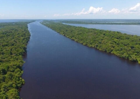 Rios da bacia do Amazonas estão em fase de cheia e indicam regularidade