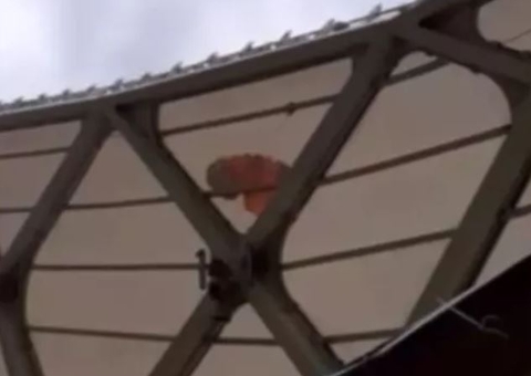 Aluna de paraquedismo faz pouso de emergência no teto da Arena da Amazônia