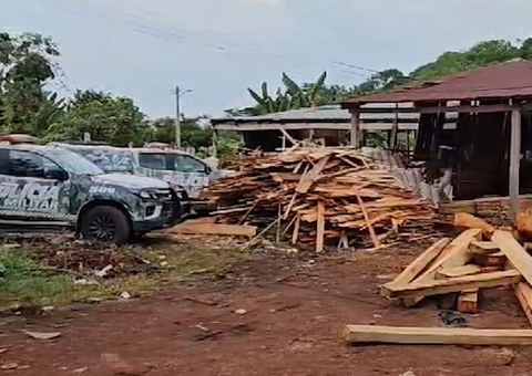 Operações de combate a crimes ambientais prendem sete pessoas no Amazonas