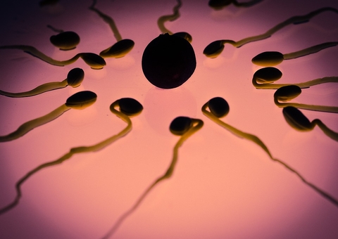 Homens descobrem que filhos têm o mesmo pai após notarem semelhanças entre crianças