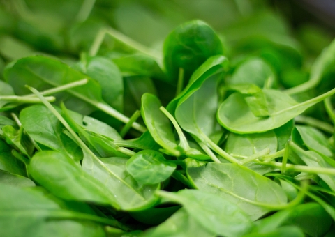 Mais de 200 pessoas sofrem alucinações após comerem espinafre