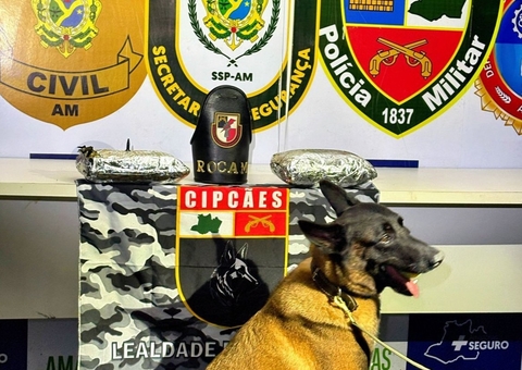 Cadela policial encontra drogas em mochila dentro de embarcação no Amazonas