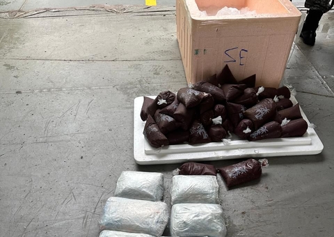 Operação apreende 10 quilos de drogas em caixas com açaí no Amazonas