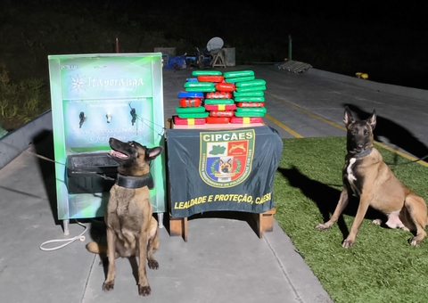 Cão policial encontra 23 quilos de cocaína em bebedouro de embarcação em Coari