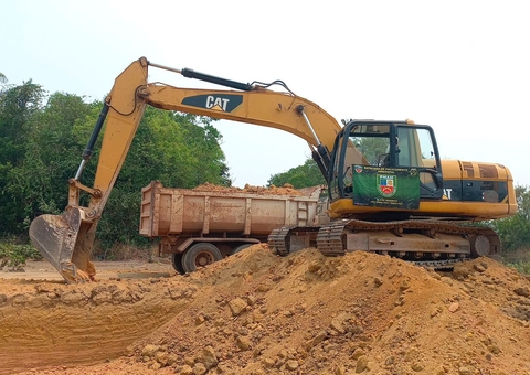 Cinco pessoas são presas por crimes ambientais em Manaus e Manacapuru 