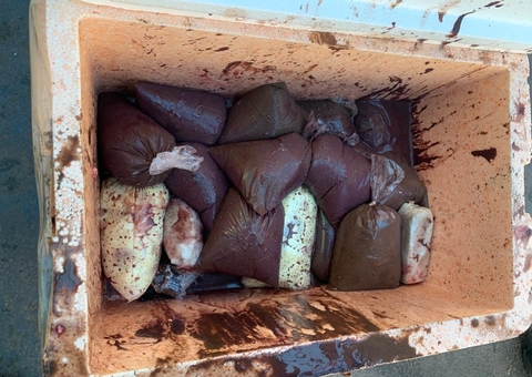 Polícia apreende maconha escondida em sacos com açaí e cupuaçu no Amazonas 