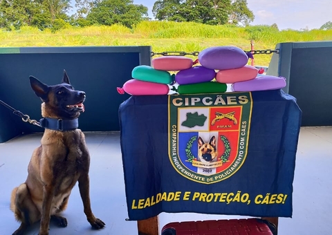 Homem é preso com 9 kg de cocaína em embarcação rumo a Manaus