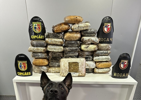 Drogas avaliadas em R$ 1,7 milhão são apreendidas em embarcação em Barcelos