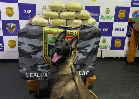 Maconha avaliada em R$ 260 mil é apreendida em embarcação em Coari