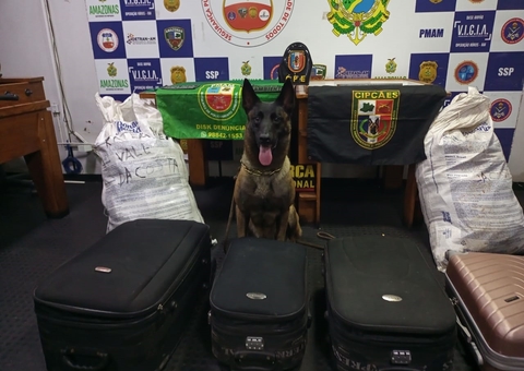 Dupla é presa com drogas avaliadas em R$ 2 milhões em sacas de banana no Amazonas