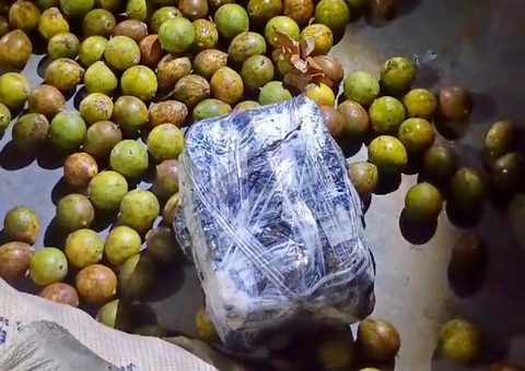 Polícia apreende maconha escondida em sacas de tucumã no Amazonas