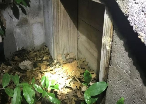 Homem revela o que era a 'caixa do demônio' dentro de sua casa