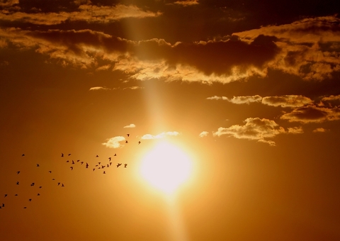 Nova onda de calor deve se estender em todo Brasil; Manaus pode chegar a 41ºC