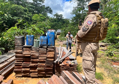 Fiscalização encontra madeira ilegal em propriedade e aplica multa de R$ 1 milhão no Amazonas