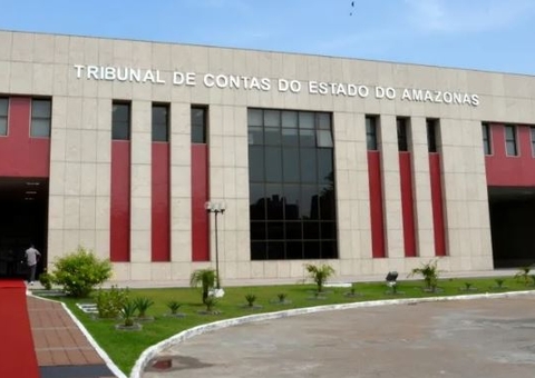 TCE-AM pune responsáveis por corte ilegal de árvores em Manaus