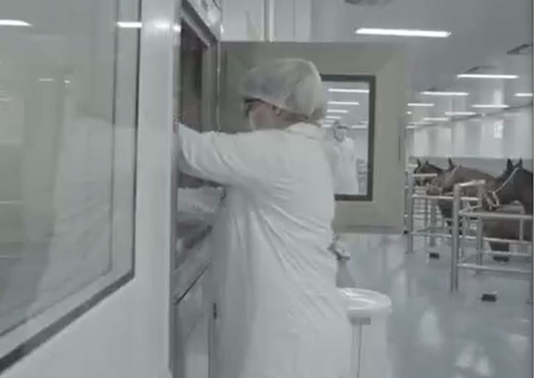 Anvisa autoriza testes de soro anti-covid feito de plasma de cavalos