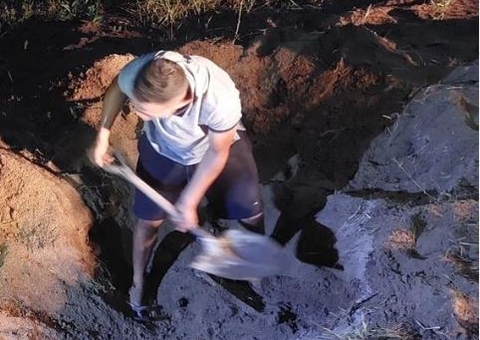 Caseiro que matou e enterrou colega fez plantação de macaxeira sobre cova