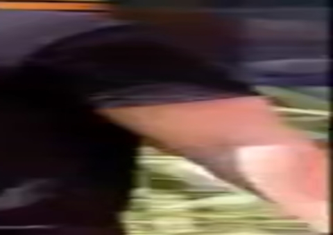 BBB22: Após almoço, brothers do grupo 'Disney' reagem à saída de Tiago Abravanel