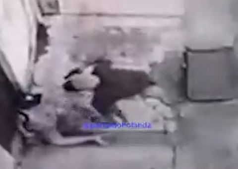 Vídeo mostra mulher assassinada lutando com assaltante no Amazonas 