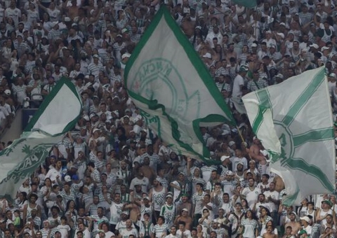 Organizada do Palmeiras é liberada para jogo contra o Botafogo pela Libertadores