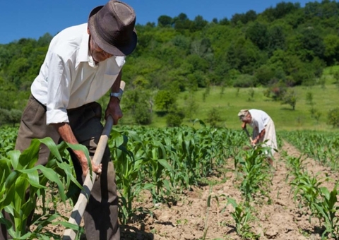 Viúva ganha pensão após provar que marido falecido era trabalhador rural