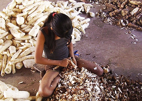 Cinco adolescentes são vítimas de acidente de trabalho por dia no Brasil
