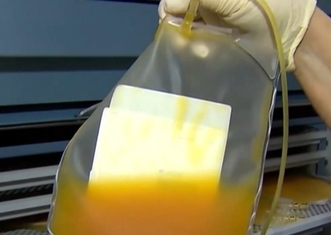 Instituto Butantan busca doação de plasma de pessoas que tiveram Covid