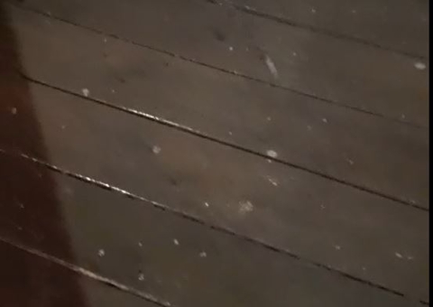 Vídeos: Beruri tem temporal violento e chuva de granizo em meio à seca extrema