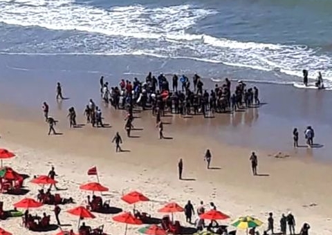 Surfistas relatam 'clima de terror' por novos ataques de tubarões em Recife
