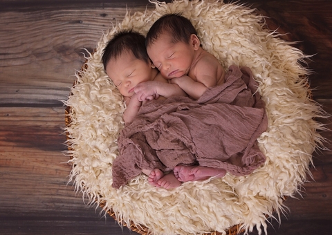 Gêmeos de pais diferentes: Saiba mais sobre a superfecundação heteroparental