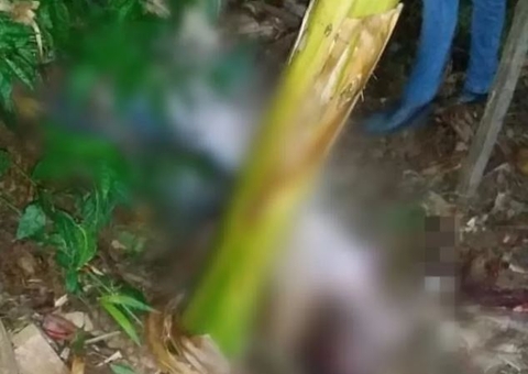 Criança de 3 anos fica aterrorizada ao ver pai ser morto com golpes de enxada