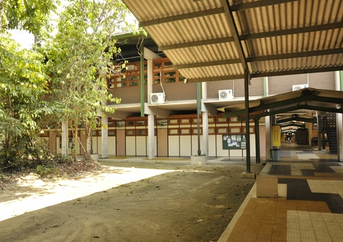 Ufam abre processo seletivo para mais de mil vagas em cursos superior