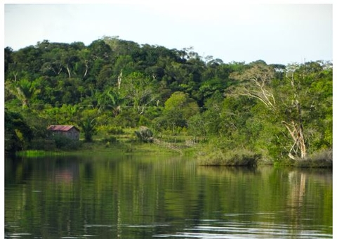 Funai interdita 343 km² de área indígena no Amazonas