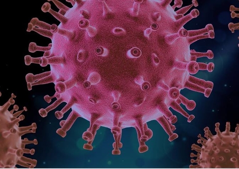 Falhas na memória após covid-19 são resposta inflamatória no cérebro