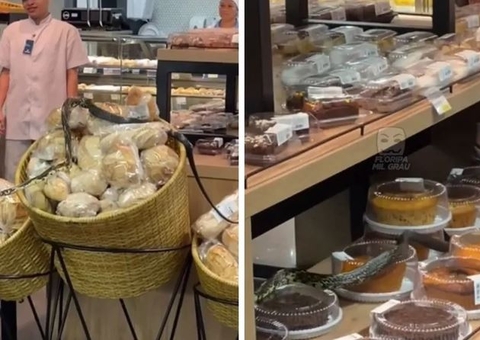 Cobra é flagrada passeando entre pães e bolos de supermercado