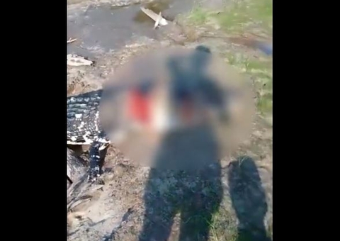 Jacaré arranca pé de pescador e tem cabeça decepada por homens no Amazonas