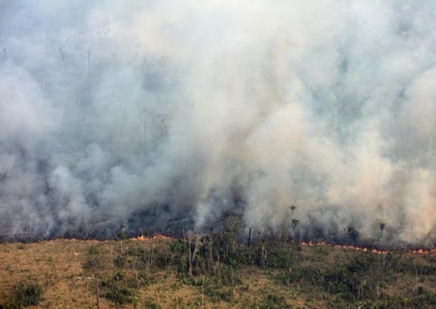 Focos de calor na Amazônia aumentaram 98%, diz Inpe