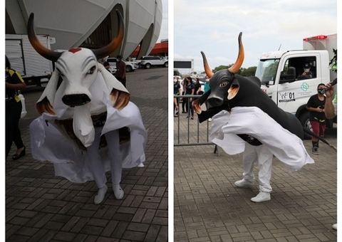 Garantido e Caprichoso são atrações no viradão da vacinação em Manaus