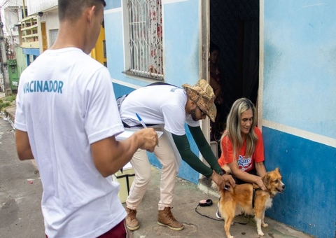 Vacinação antirrábica é oferecida em rede de supermercados em Manaus