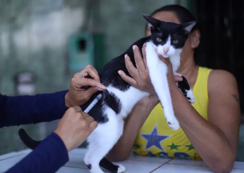 Confira lista de vacinadores aprovados para campanha antirrábica em Manaus