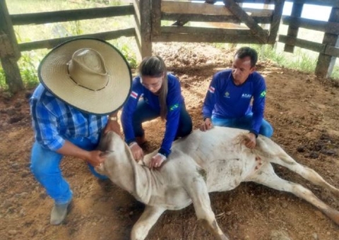 Prazo para veterinários atualizarem dados termina na próxima semana no AM