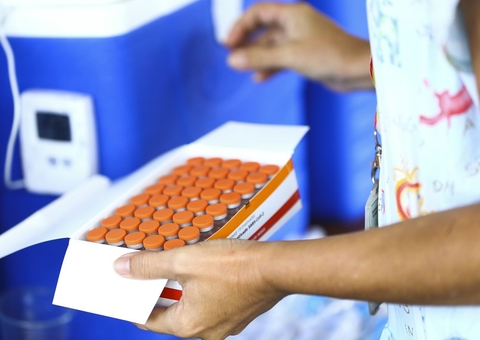 Estados e municípios podem comprar vacinas contra covid-19, decide STF