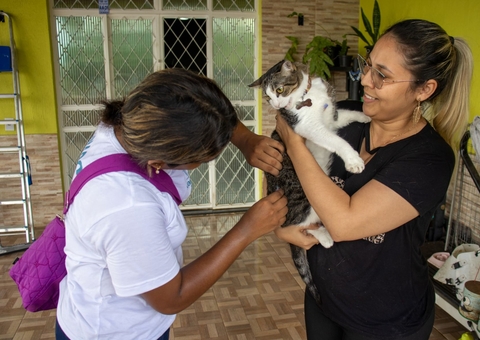 Vacinação contra raiva animal é intensificada em Manaus