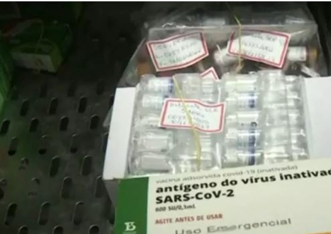 Criança desliga energia de prédio e faz lote inteiro de vacinas estragar