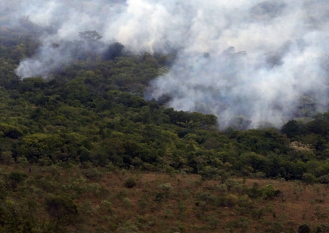 Amazonas tem mais de mil focos de queimadas neste domingo (15), mostra Inpe