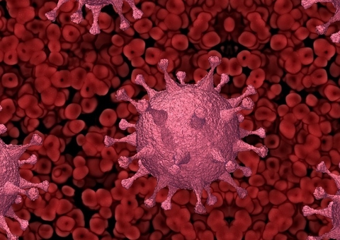 São Paulo confirma 28 casos da variante amazônica